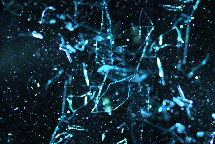 Fliegende Glassplitter werden durch Splitterschutzfolie verhindert